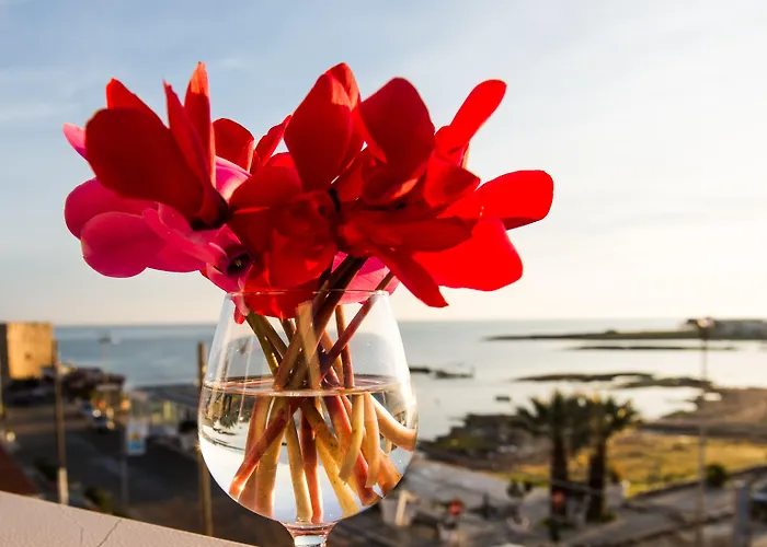 Cico מלון טורה סנטה סאבינה